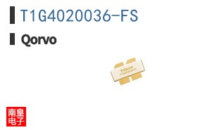 T1G4020036-FS