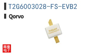 T2G6003028-FS-EVB2